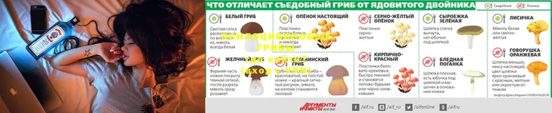 Галлюциногенные грибы Magic Shrooms  купить закладку  Кашира 